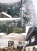 Rosenhang 11-home winter